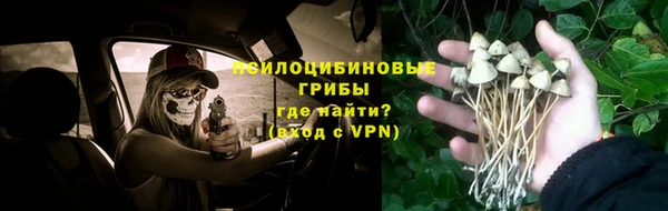 хмурый Абинск