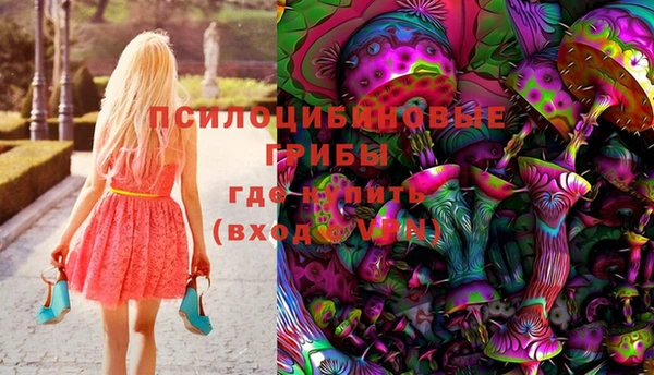 соль ск Абаза