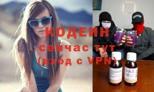 соль ск Абаза