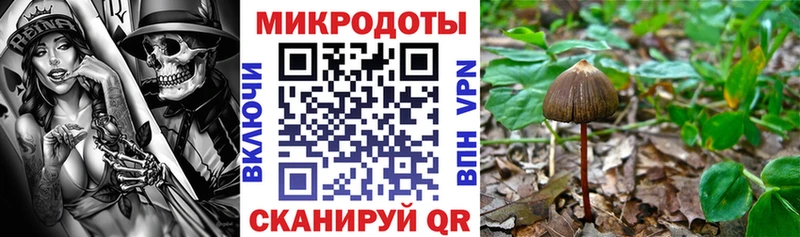 Галлюциногенные грибы Cubensis  ссылка на мегу как войти  Абинск  цена наркотик 